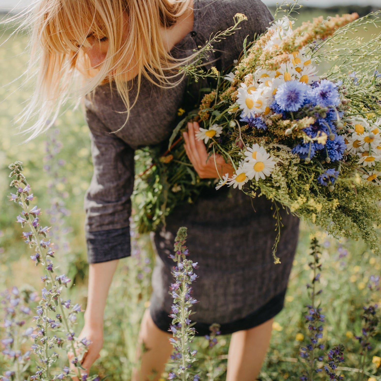 Wildblumen